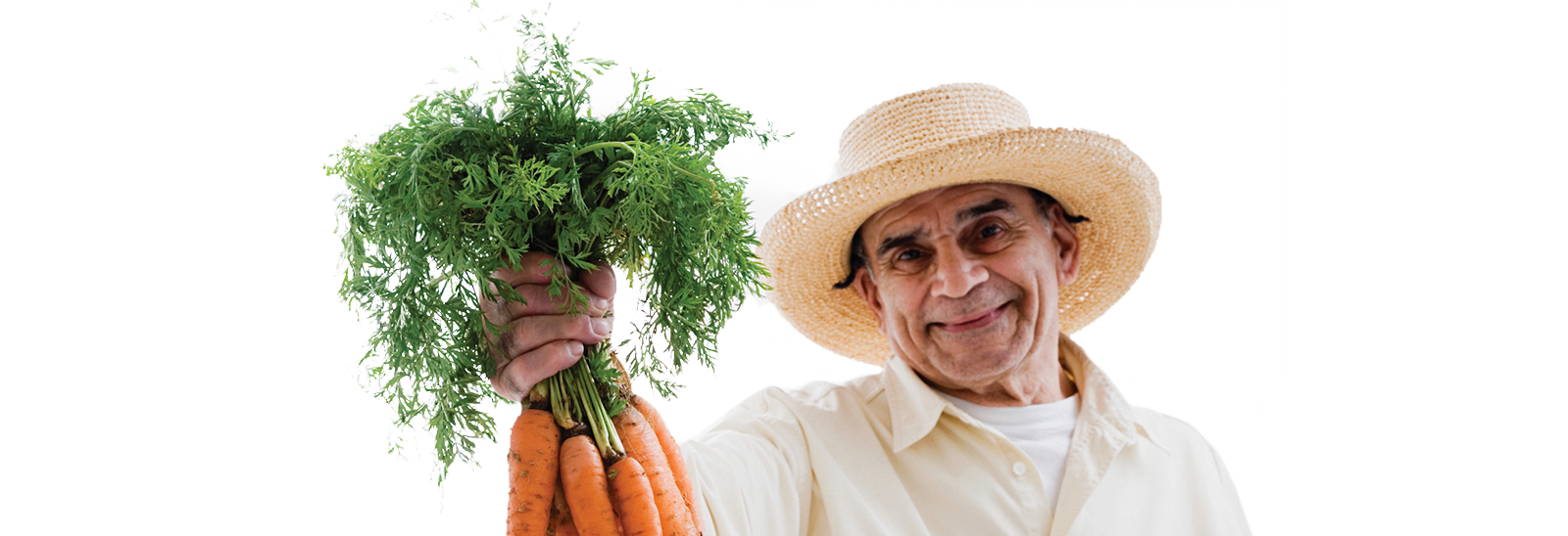 Picture of farmer holding bunch of carrots. 